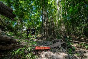 BIB: 
                            <button type="button" onclick="openModal(19394252)" class="btn btn-primary btn-sm float-right btn-popup" data-toggle="modal" data-target=".modal-high-quality">
                        <i class="fas fa-shopping-cart"></i> Add to Cart
                    </button>
                                            <button type="button" onclick="isThisMe(19394252, true)" class="btn btn-success btn-sm float-right btn-popup btn-isme hidden" data-toggle="tooltip" data-placement="bottom" title="นี่คือรูปของคุณใช่ไหม คลิกที่นี่เพื่อเอาเข้าอัลบั้ม">
                        <i class="fas fa-plus"></i> Add to album
                    </button>
                    <button type="button" onclick="isThisMe(19394252, false)" class="btn btn-warning btn-sm float-right btn-popup btn-isnotme hidden">
                        <i class="fas fa-ban"></i> Remove from album
                    </button>